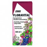 Salus Floravital rautapitoinen vitamiini-mehuvalmiste, 500 ml
